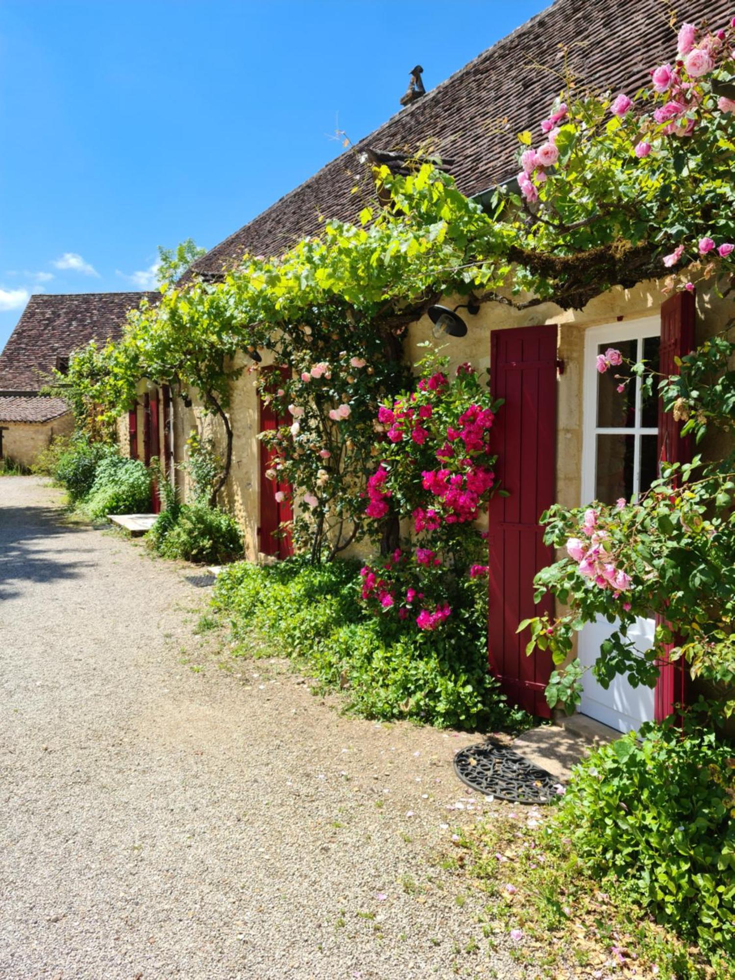 La Ferme De L'Embellie Gites Et Chambres D'Hotes Le Buisson-de-Cadouin Exterior photo